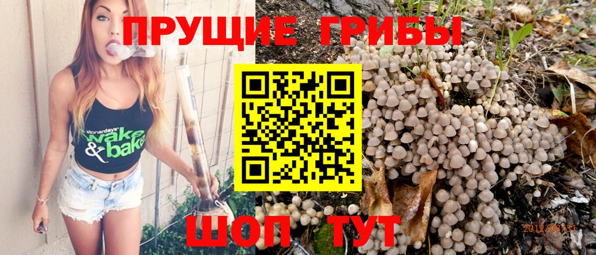 Псилоцибиновые грибы мицелий  как найти закладки  Псилоцибиновые грибы GOLDEN TEACHER  Учалы  Вход с VPN 