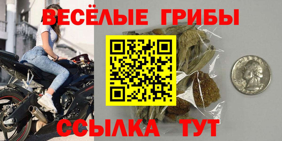 Псилоцибиновые грибы GOLDEN TEACHER Учалы